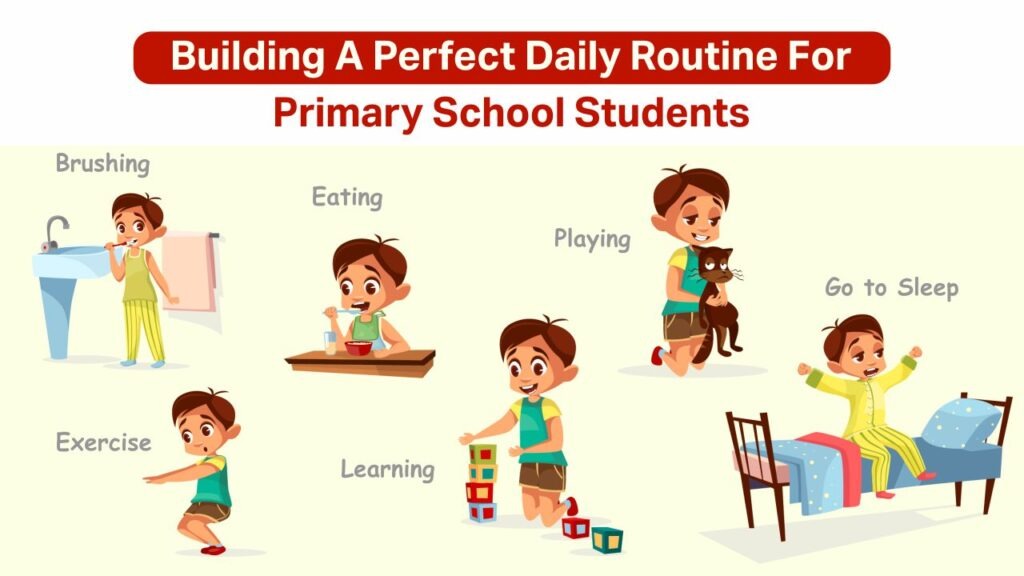 building a perfect daily routine for primary school students
